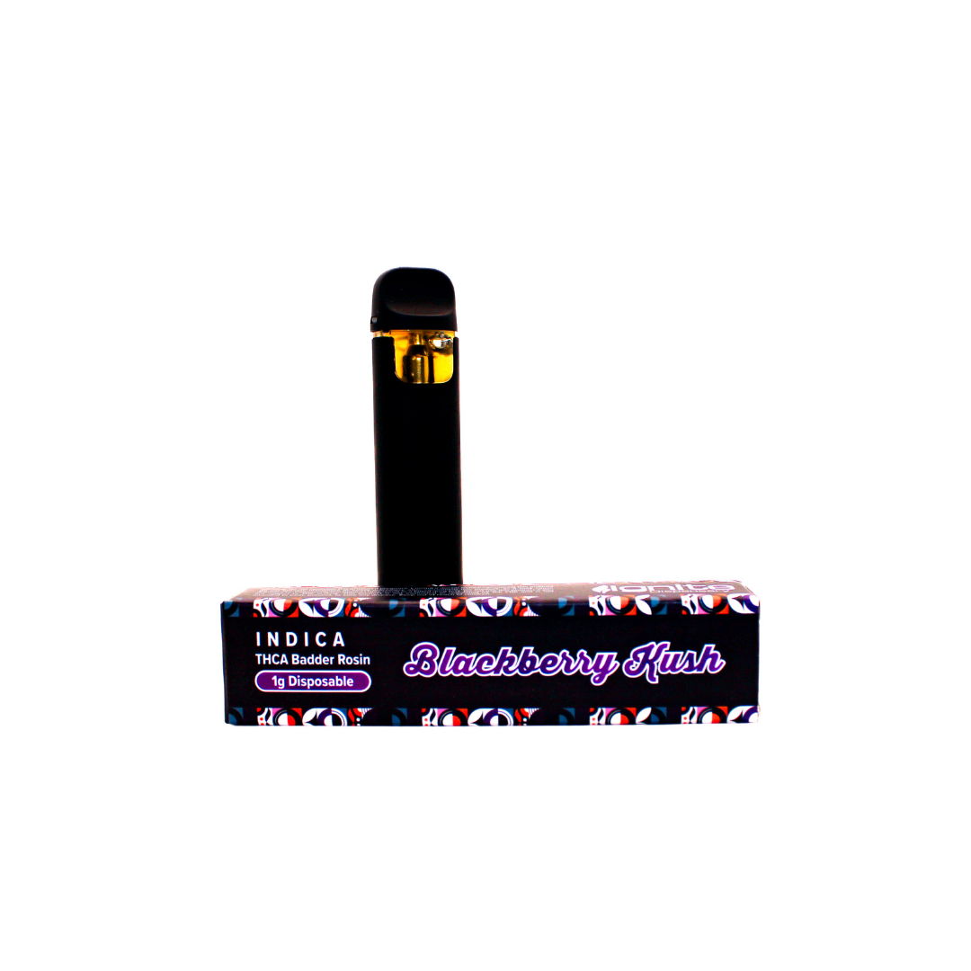 Ignite 1G Disposable Vape
