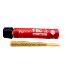 Ignite THCA Pre-Roll (Sativa)